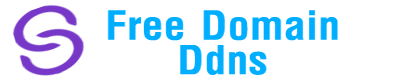 DDNZ Logo